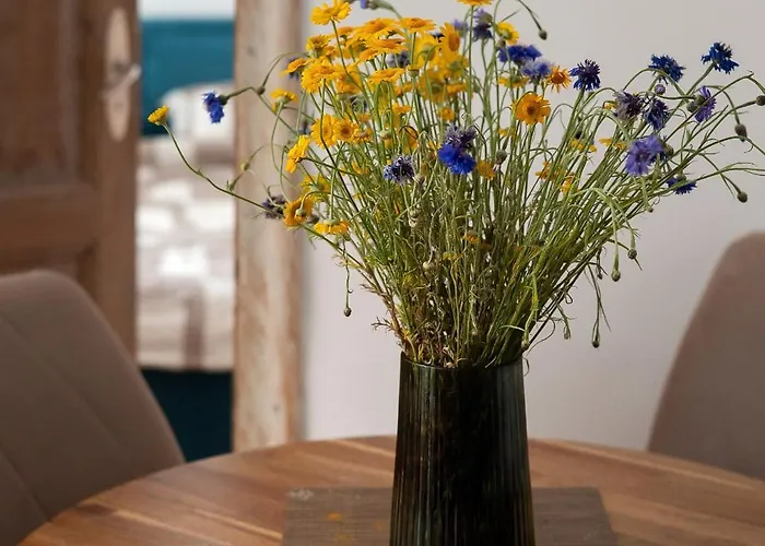 Historic Old Apartament